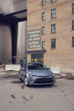 Toyota Corolla XLE Sedan 2019 года (NA)
